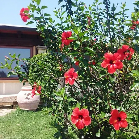 Hotel Il Falconiere Muravera